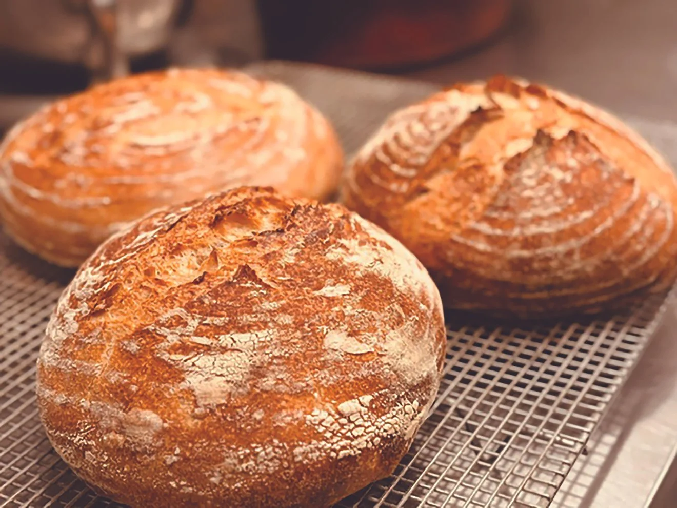 BreadLoaves.jpg