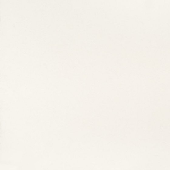 Snow White 2cm