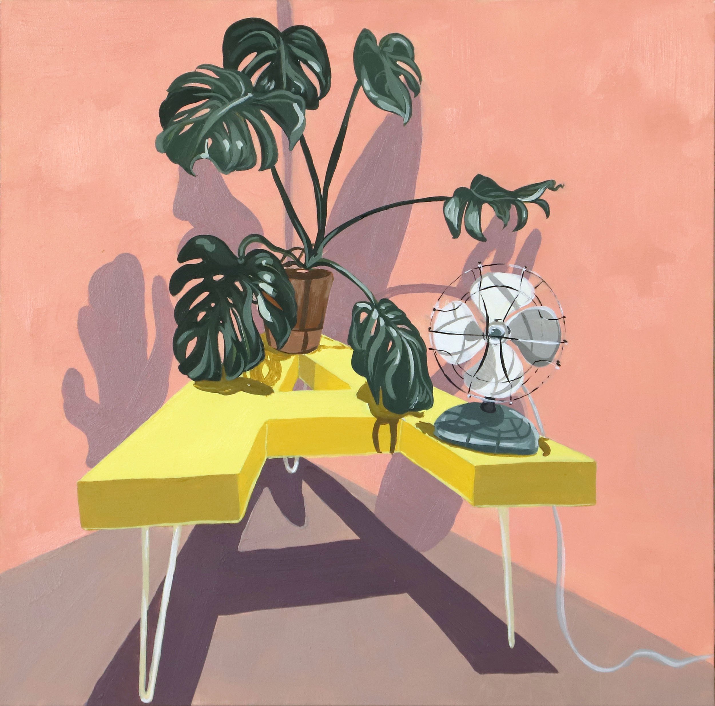 A Table and Monstera