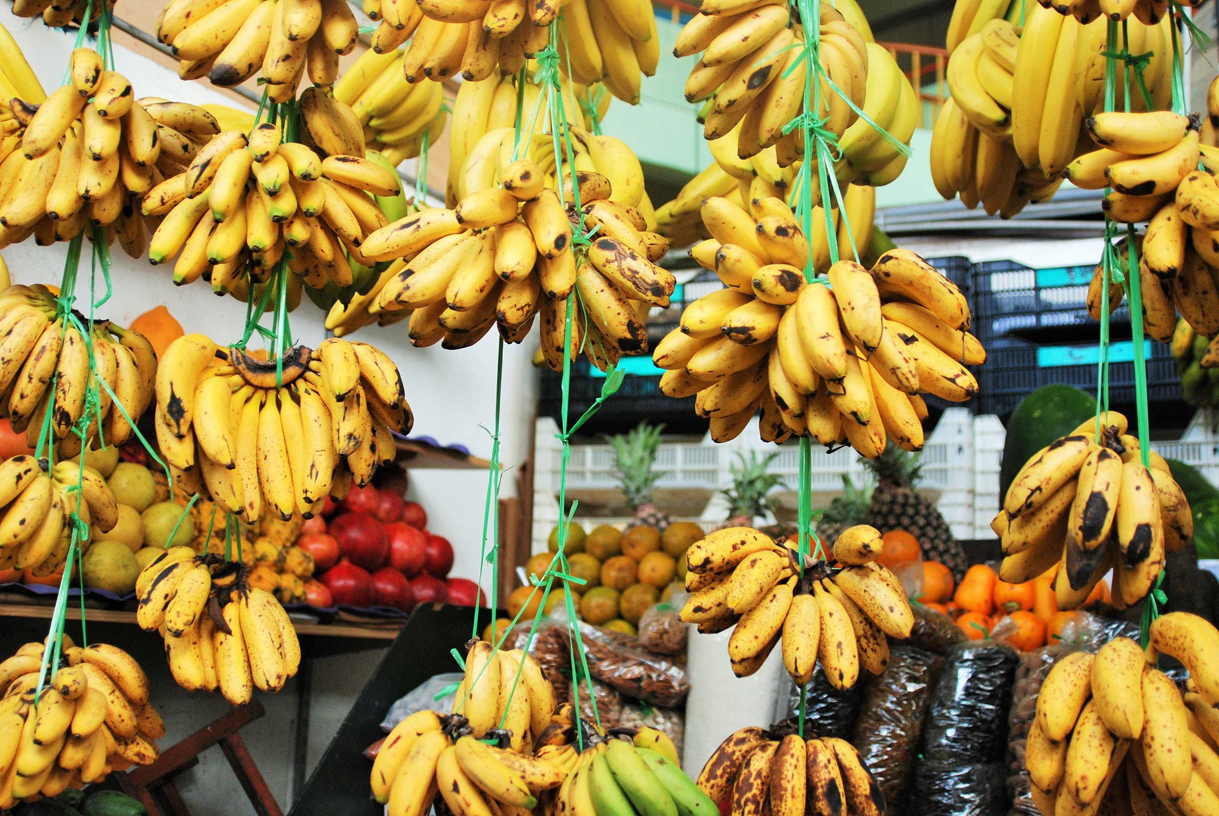 Peru-bananas.jpg