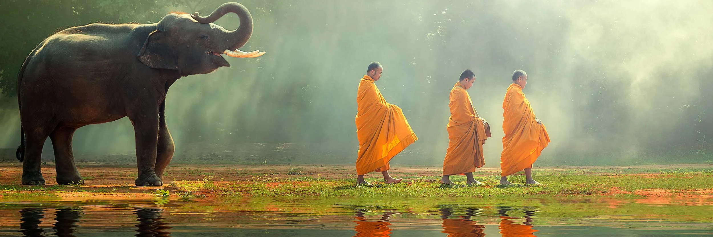 Thailand Food Tour: Explore Exotic Siam