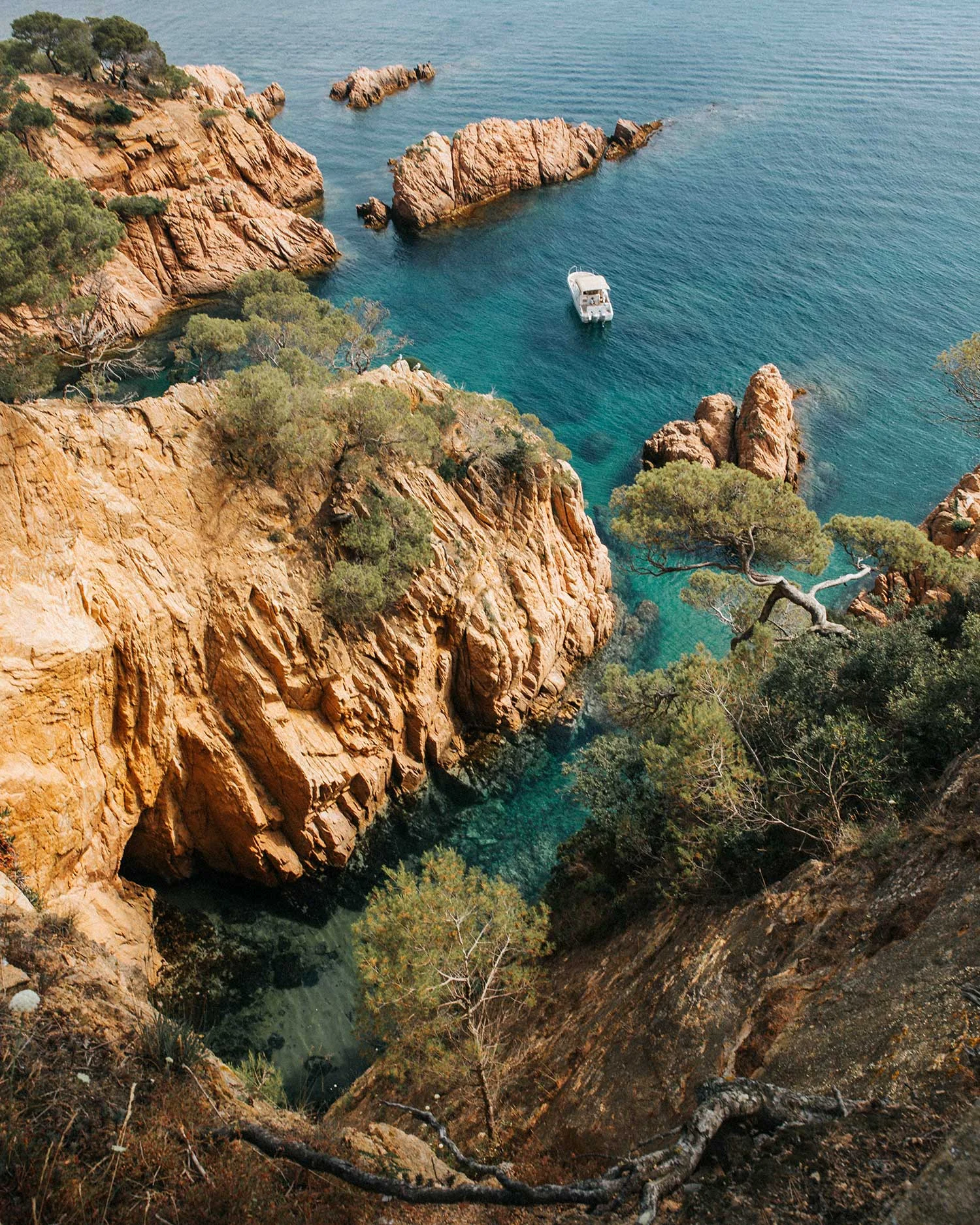 Catalonia Food Tour:  A Moveable Feast