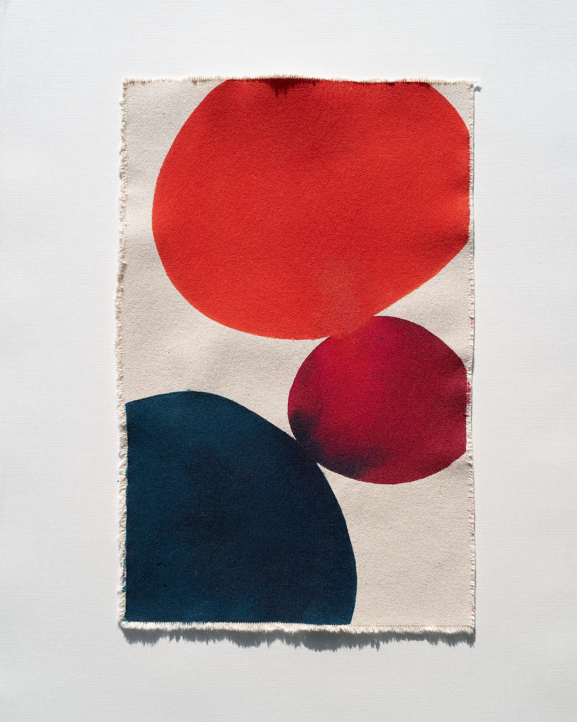 Scrap n.335 - 16 x 10 in. Now Available