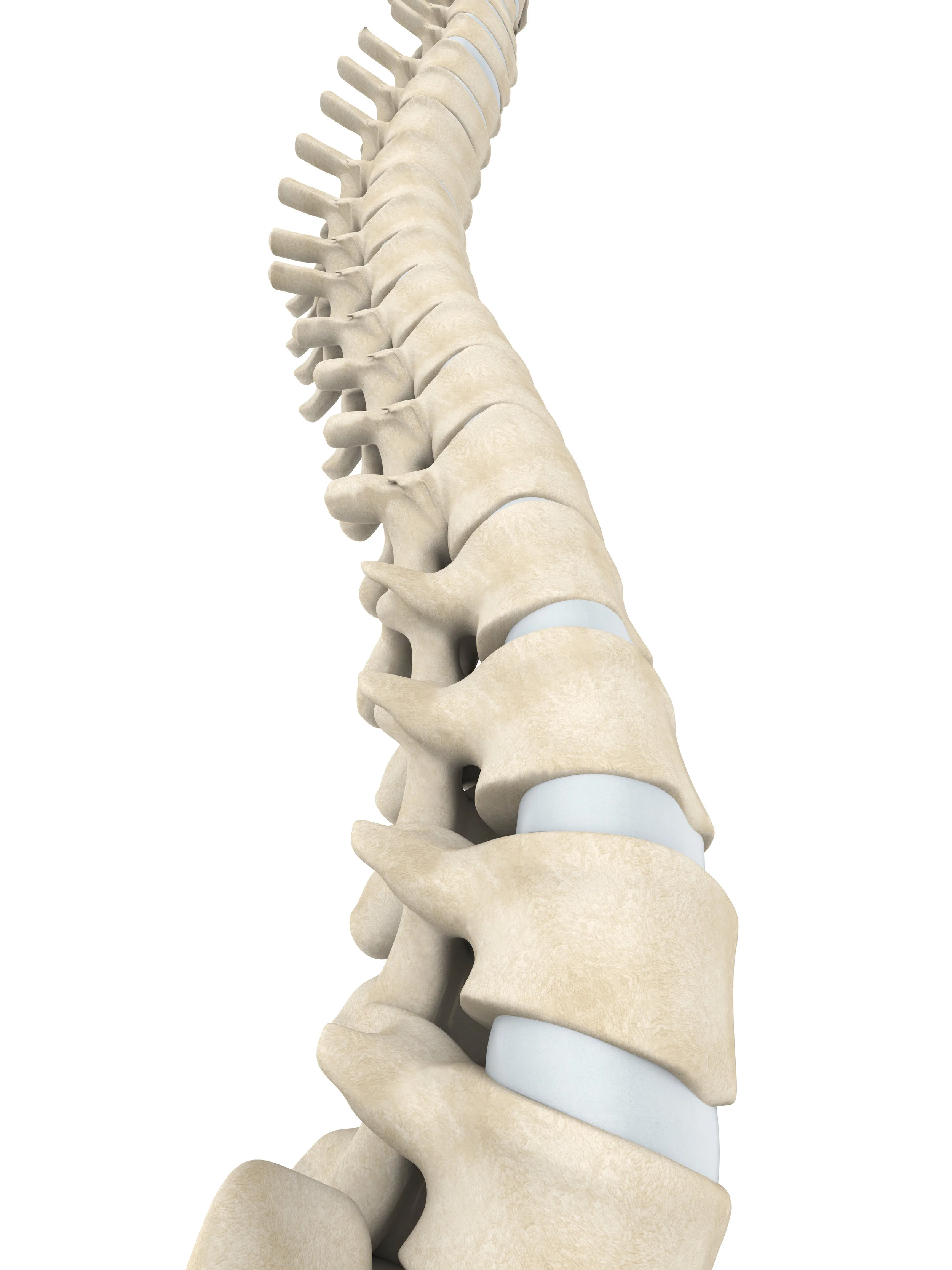 SIB# 376  Spinal Sagittal Balance