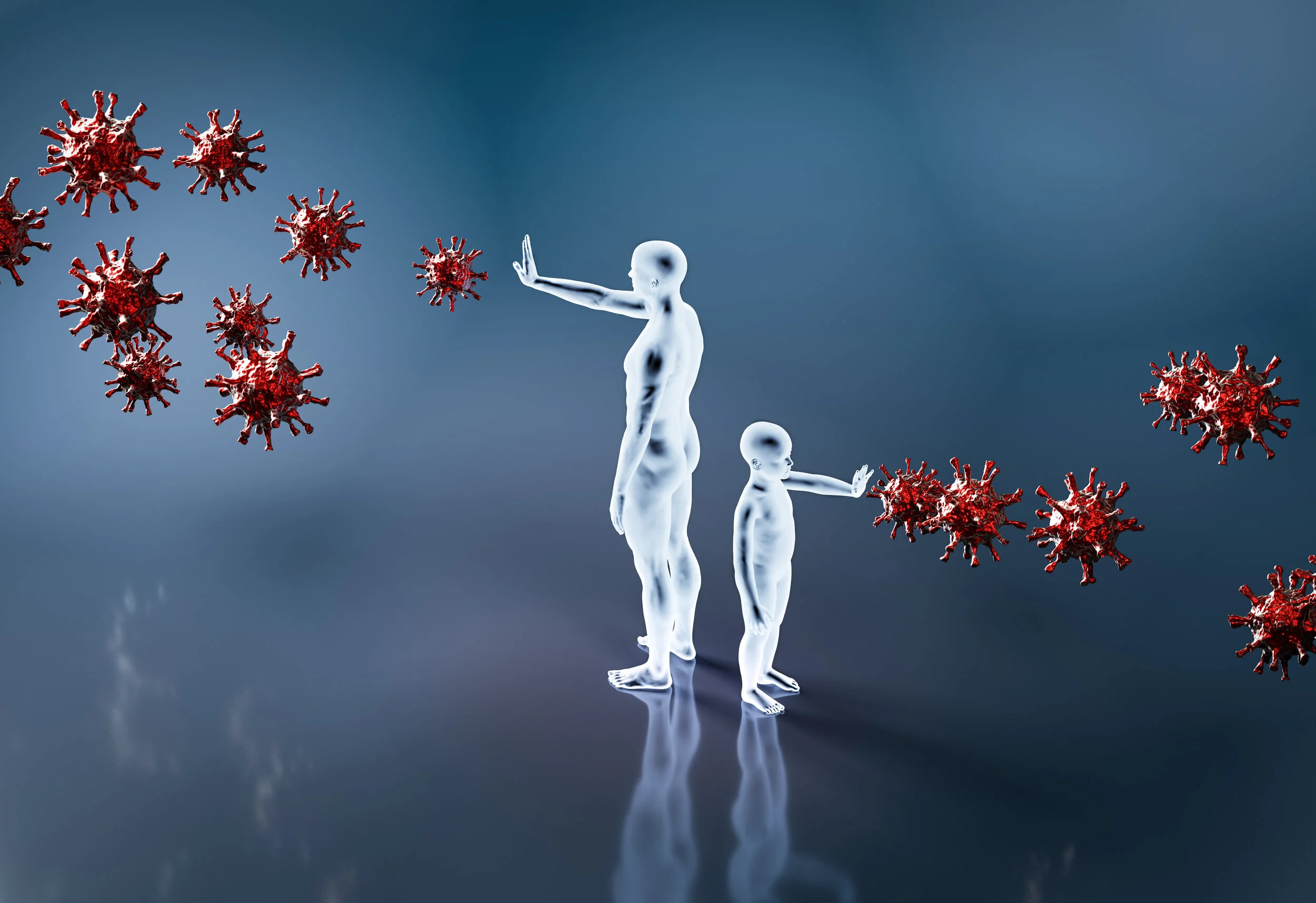 SIB #454-  SARS CoV2 induces long lasting immunity