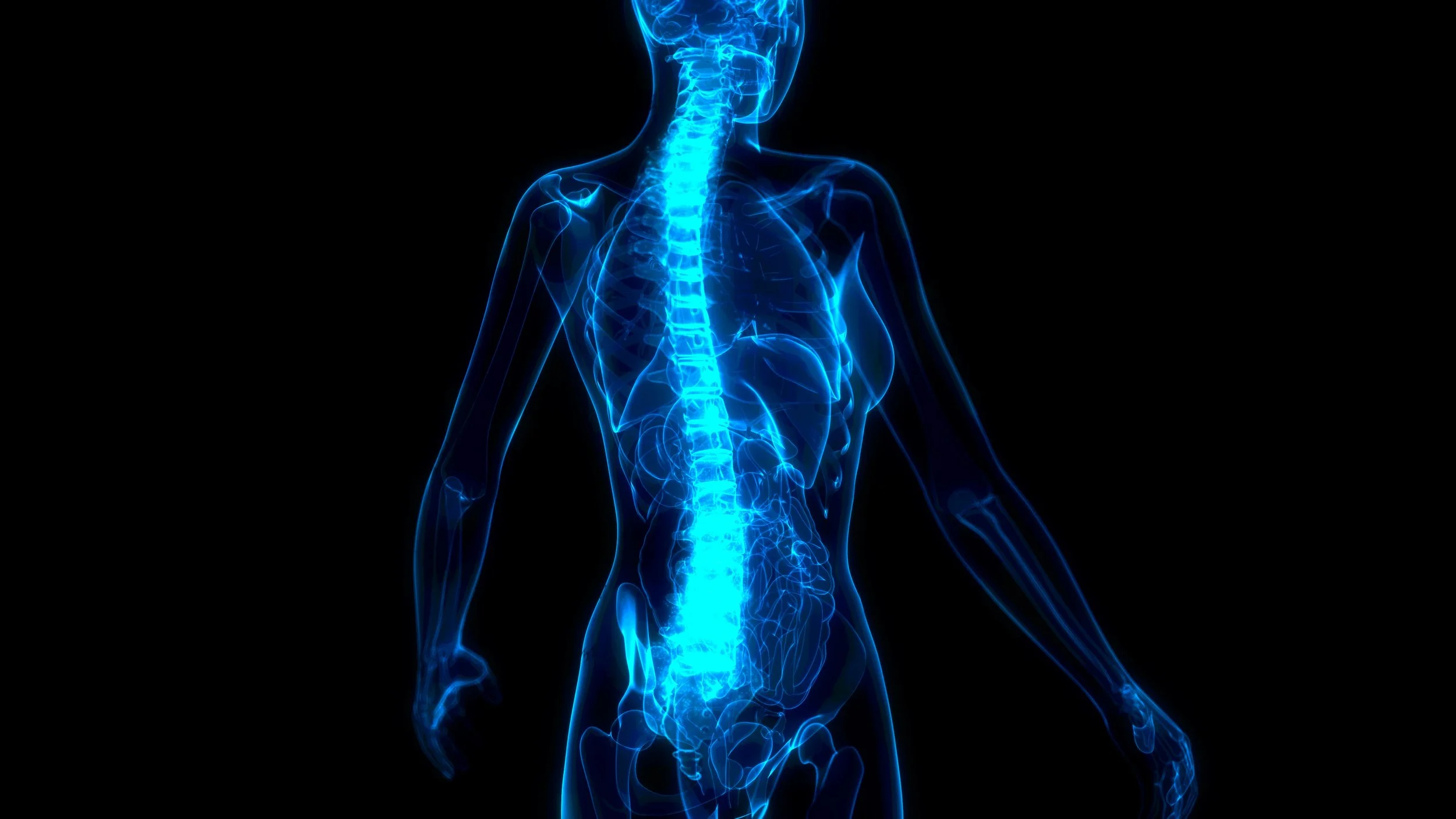 SIB #469- Revisiting Radiography- Guidelines for Chiropractors