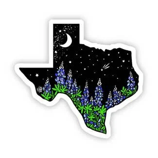 Texas Night Sticker.jpeg