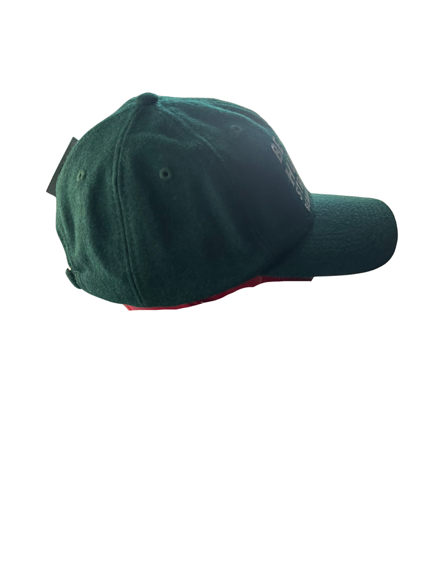 Untitled design 43.PNG