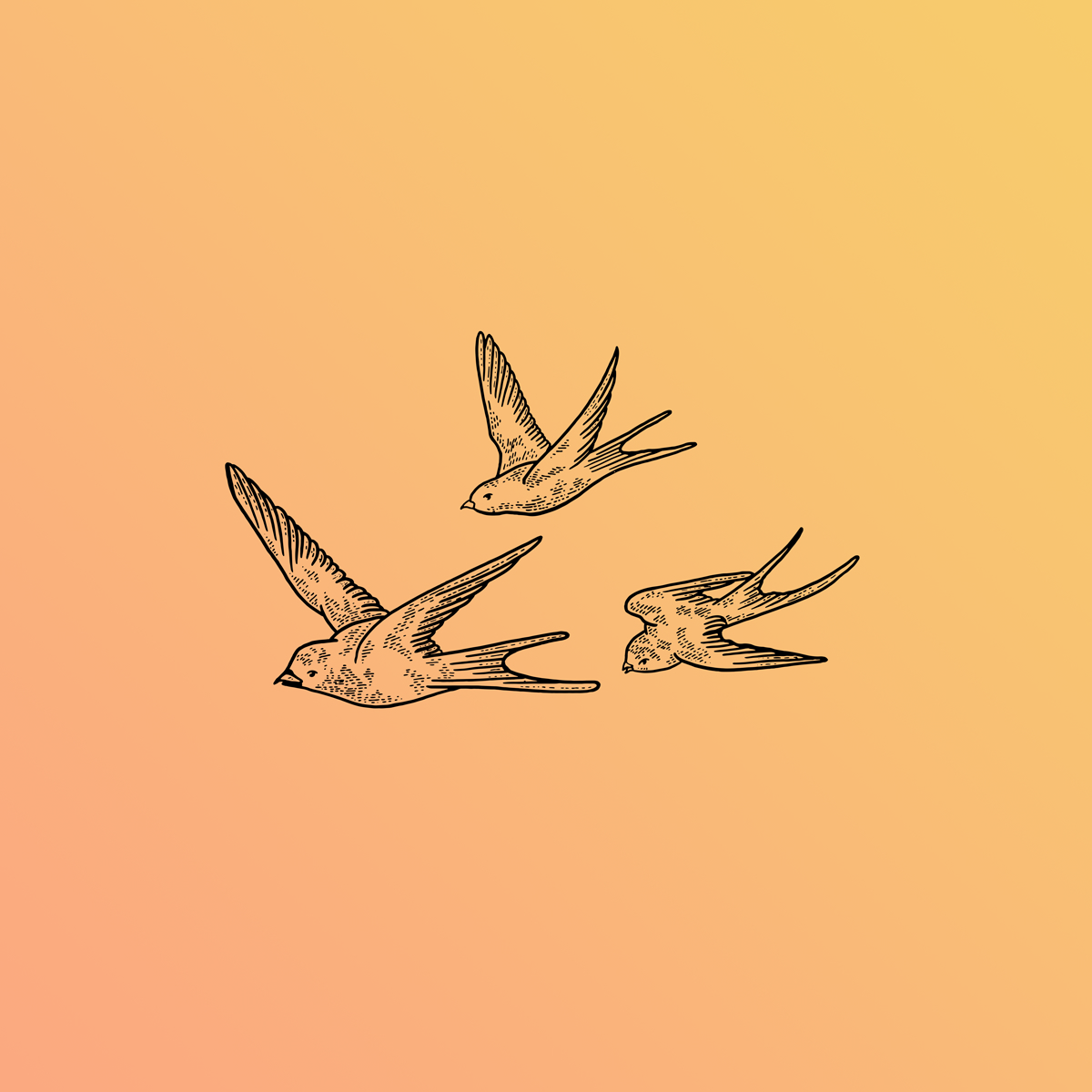 birds graphic.png