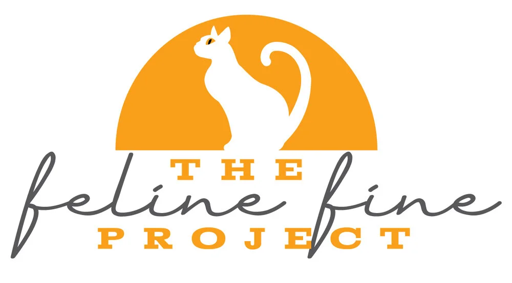 the-feline-fine-project.jpg
