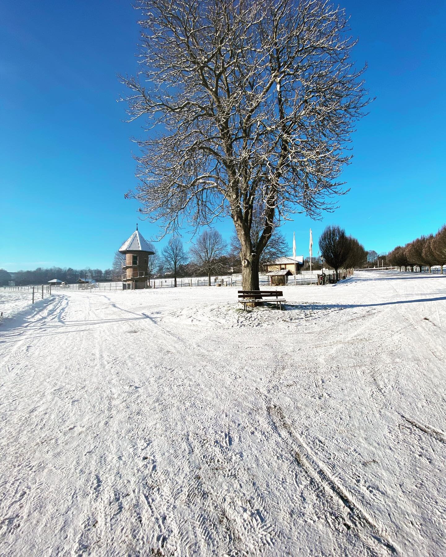 So sch&ouml;n&hellip;. #winterwonderland #schneezauber #schneelandschaft #blauerhimmelsonnenschein #bonnheimerhof #bonnheimerhofhackenheim #restaurant #eventlocation #ziegenturm #baum