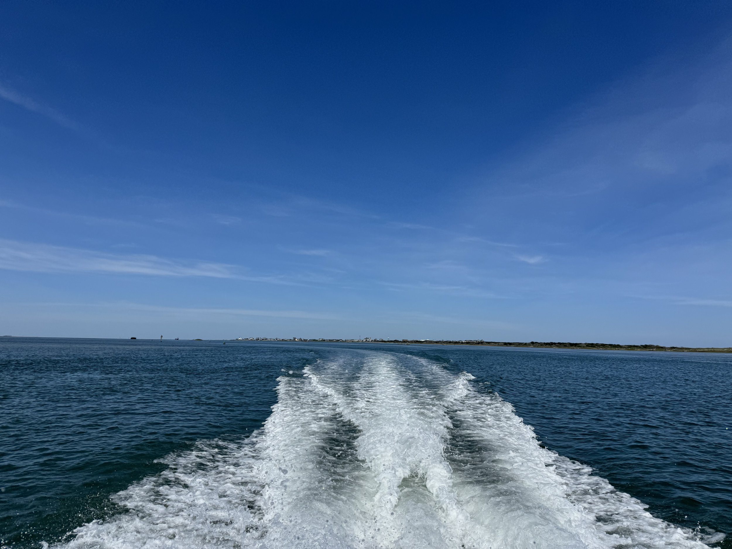 IMG_2846.jpeg