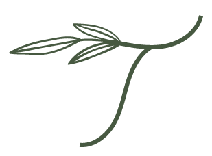 TLogo_1color_Green_Web.png