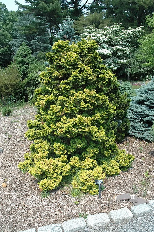 F630-23.jpg
