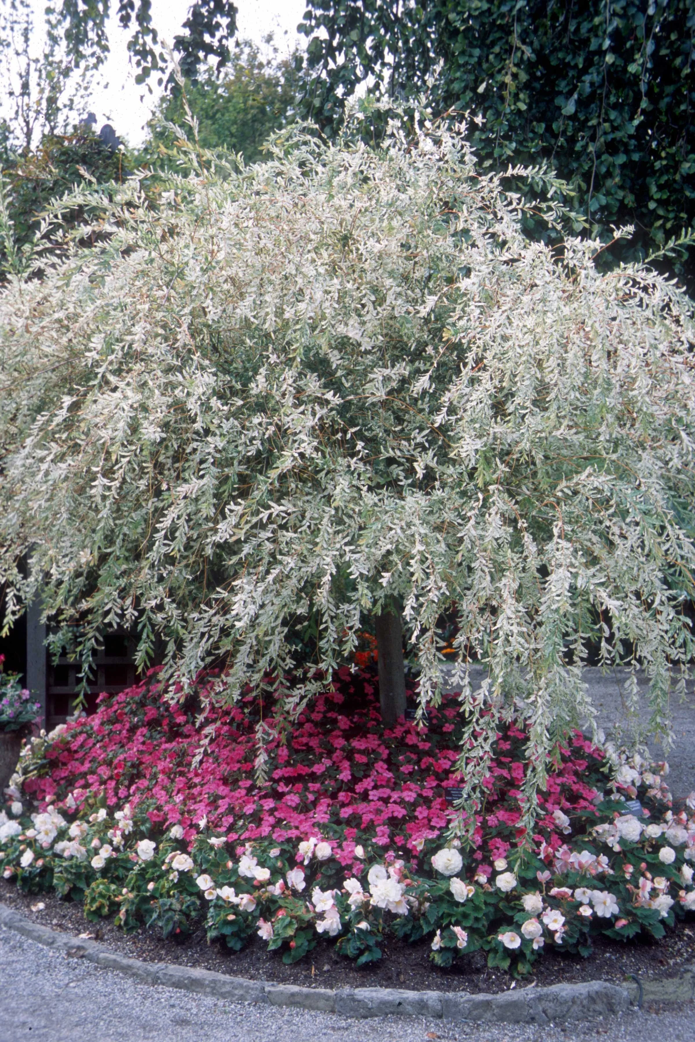 file_138_10.jpg