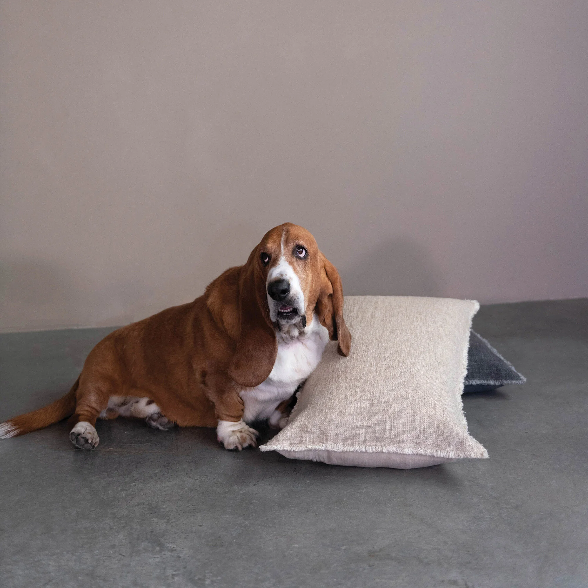 7C70C38F-B1C7-46C9-A87C-A3259B62799C