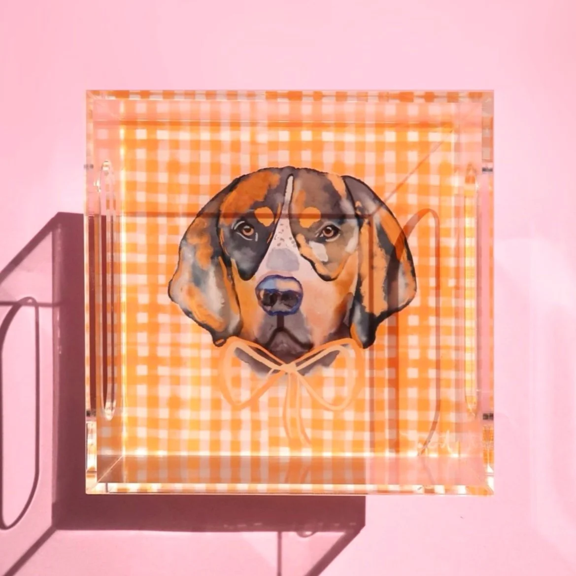 Knoxville Acrylic Tray