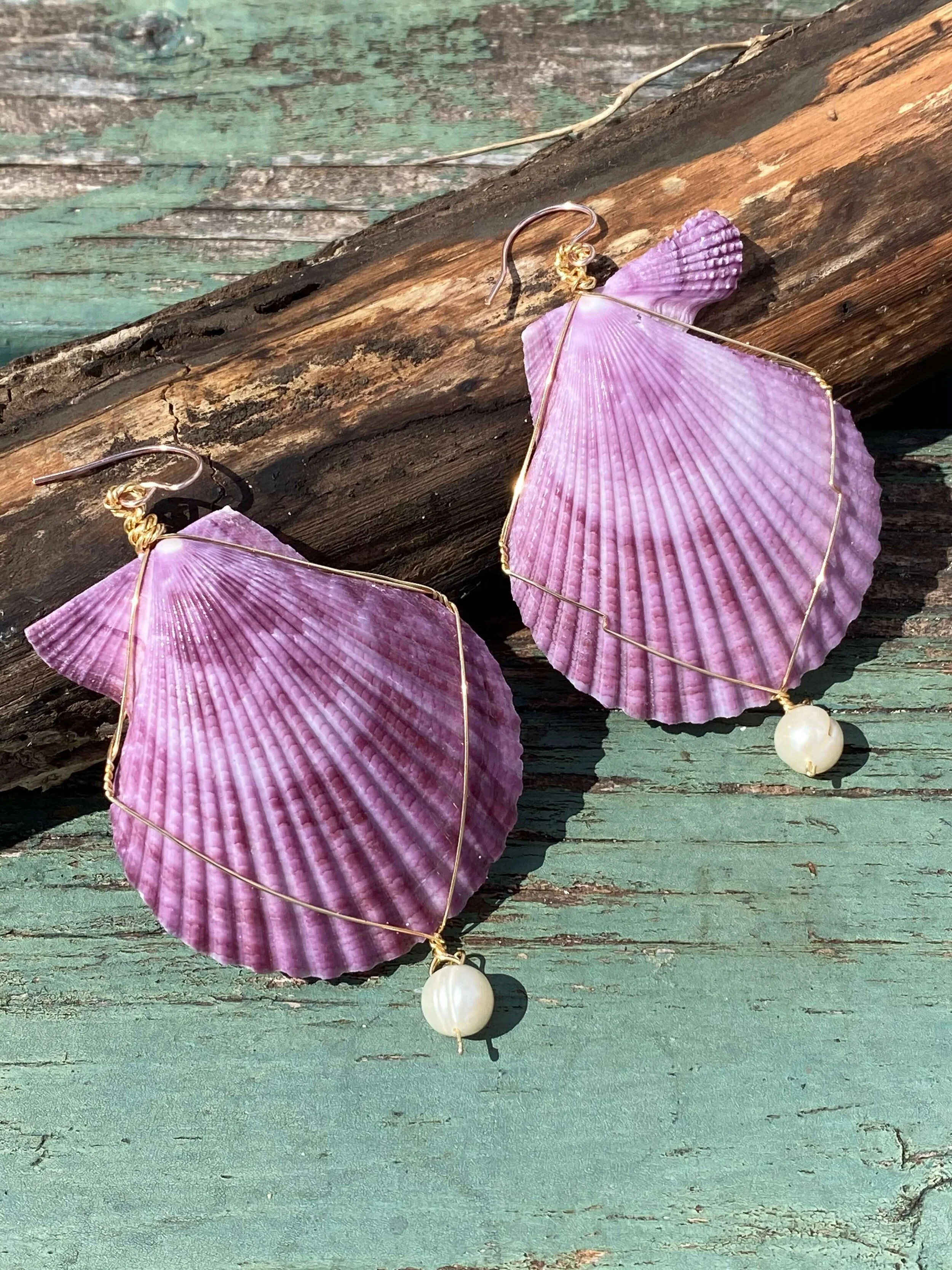 Purple Seashell