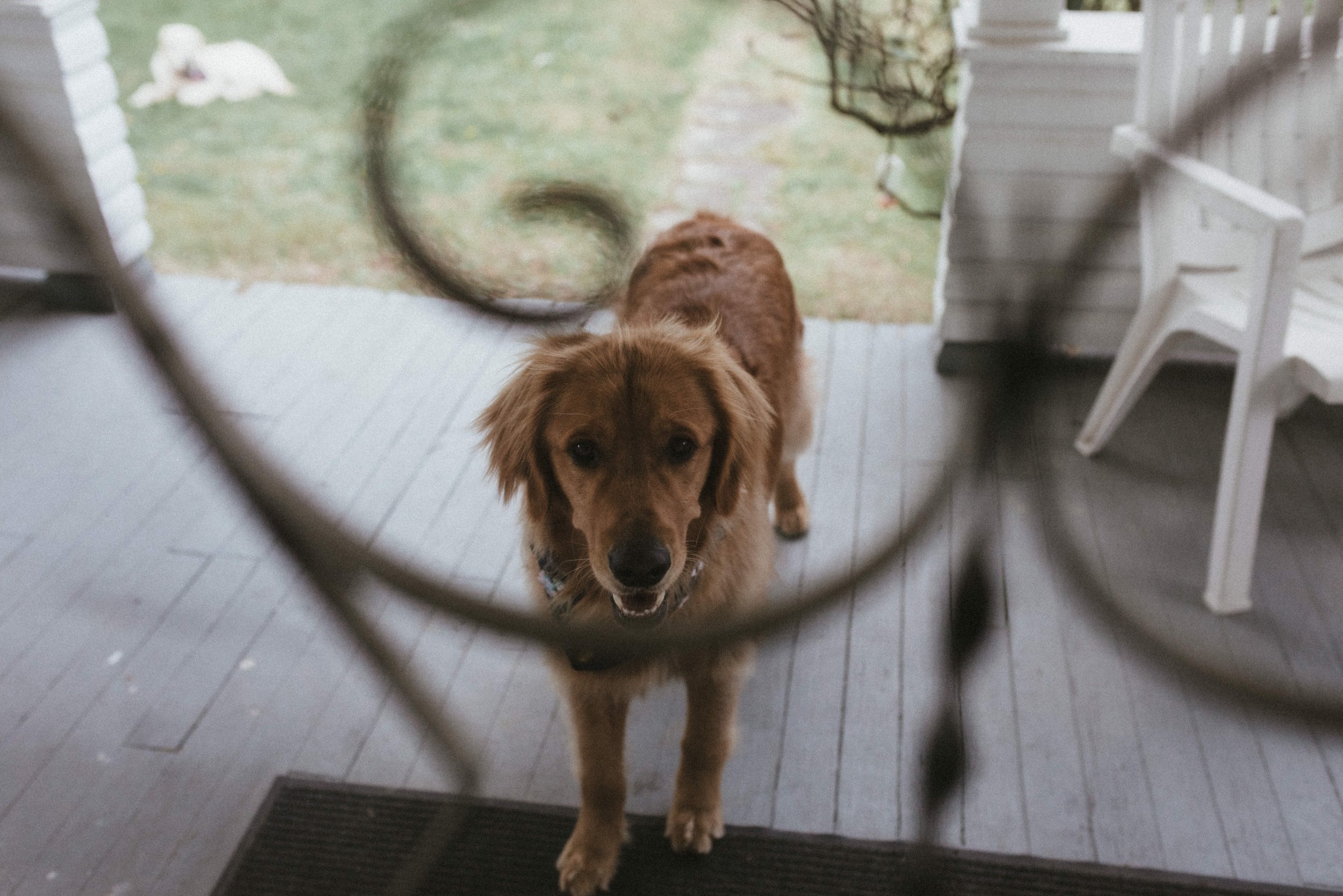 Abbi+Carson_Sneak-3.jpg