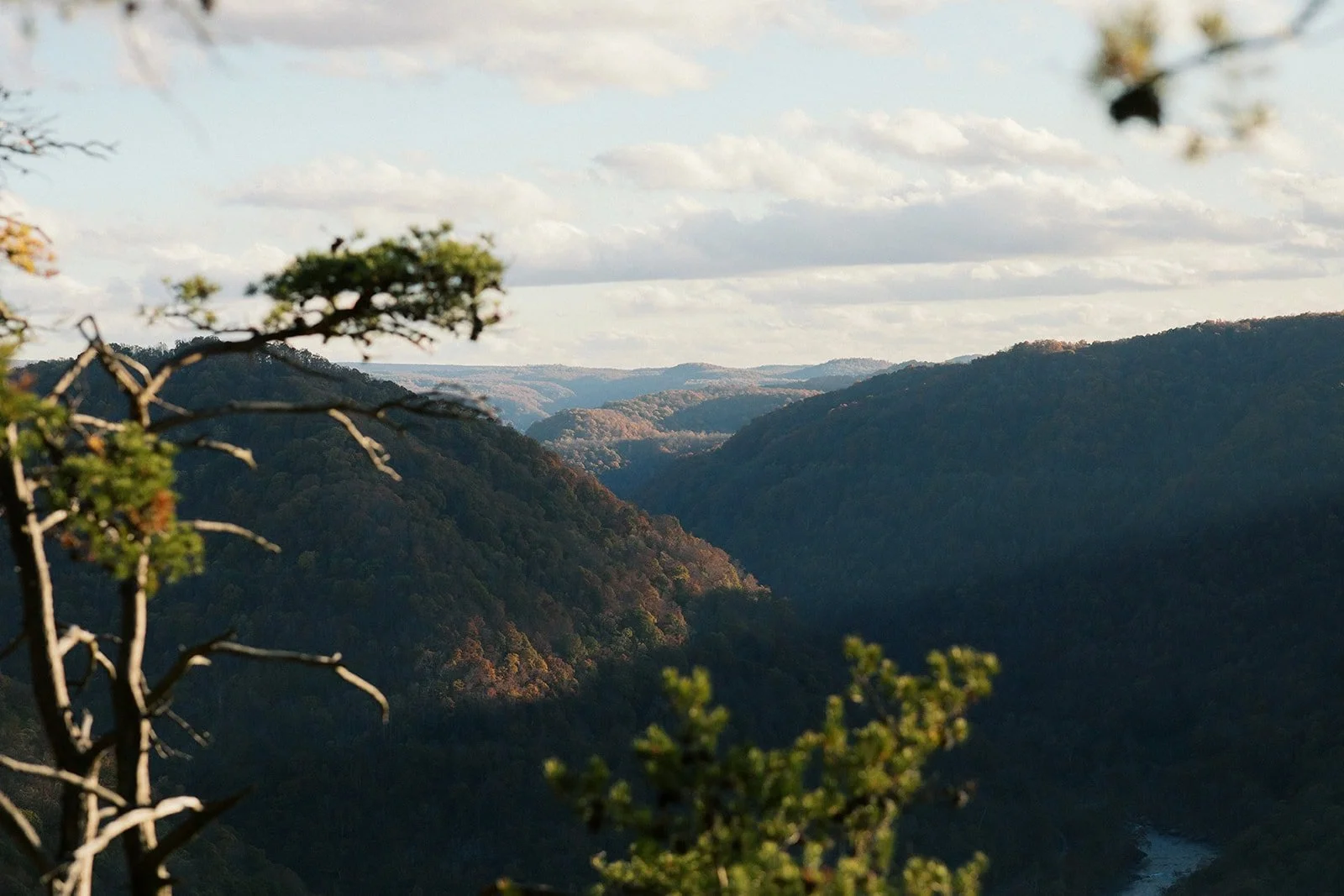 new-river-gorge-west-virginia-elopement-view-18.jpg