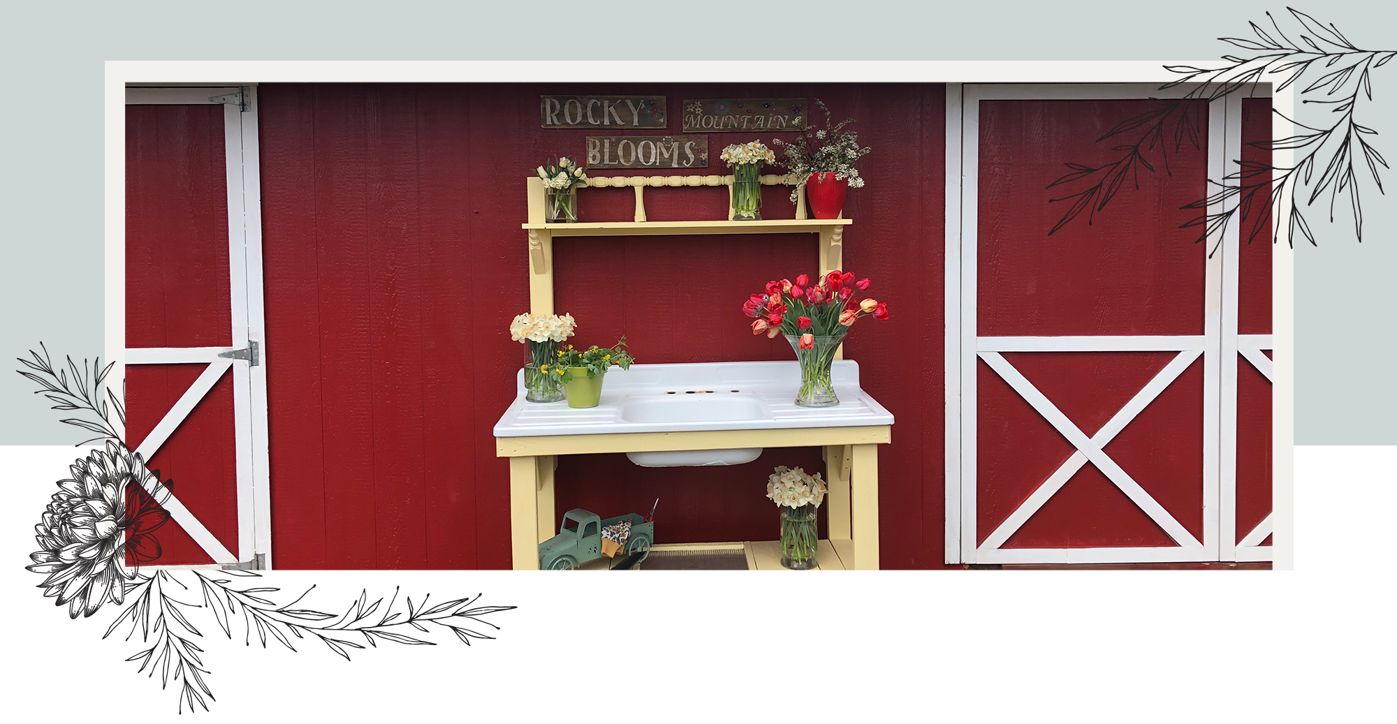 Rocky Mountain Blooms