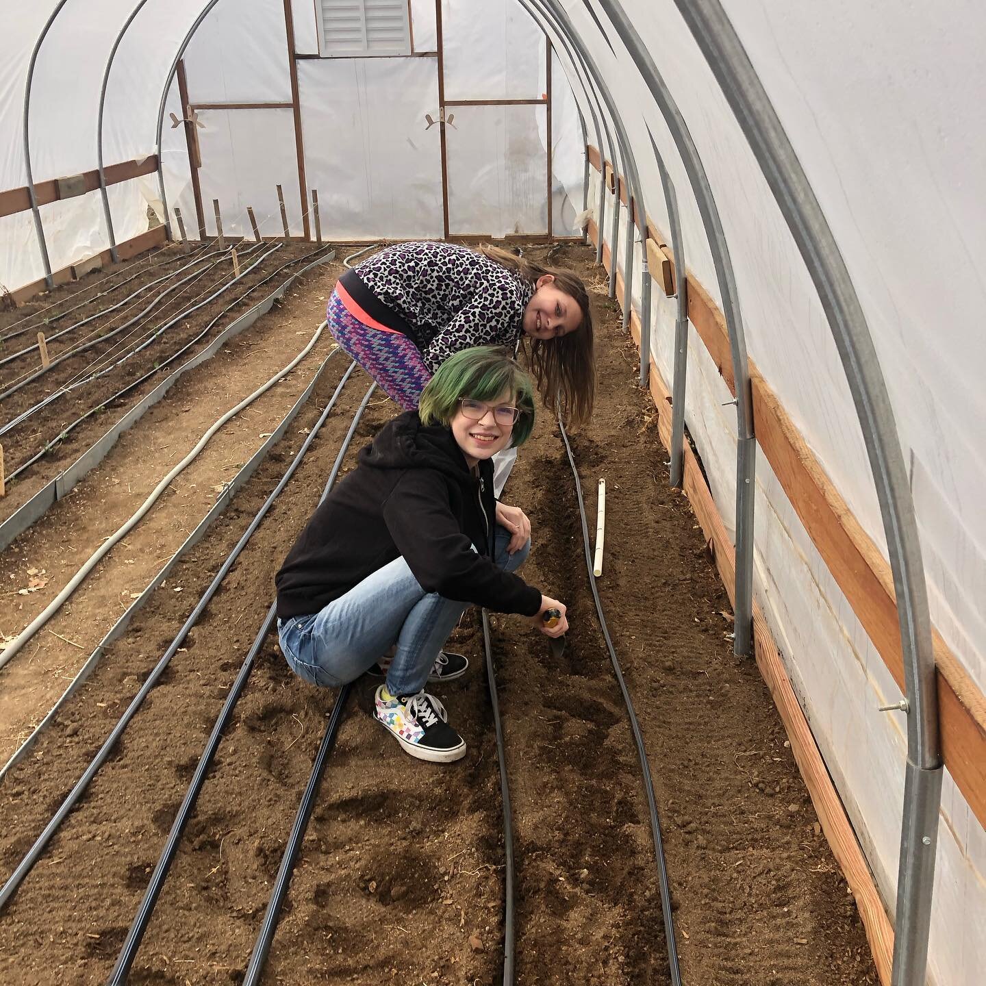 When you are racing against a winter storm forecast of two plus feet of snow you bring in reinforcements, my granddaughters🥰