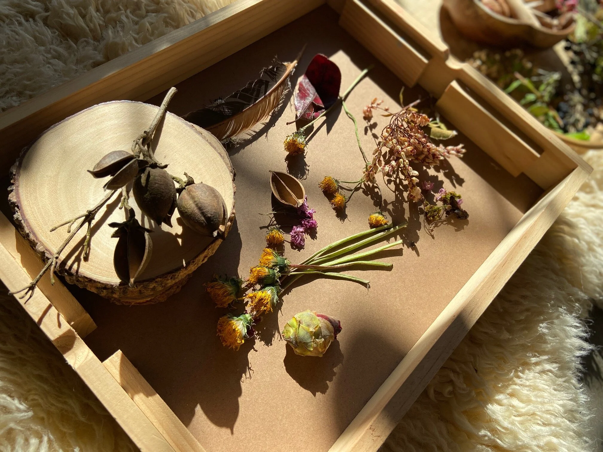 Nature Table Sharing: April 13-17