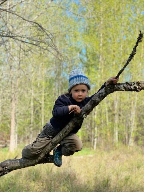 Family Adventures: April 13 - May 1