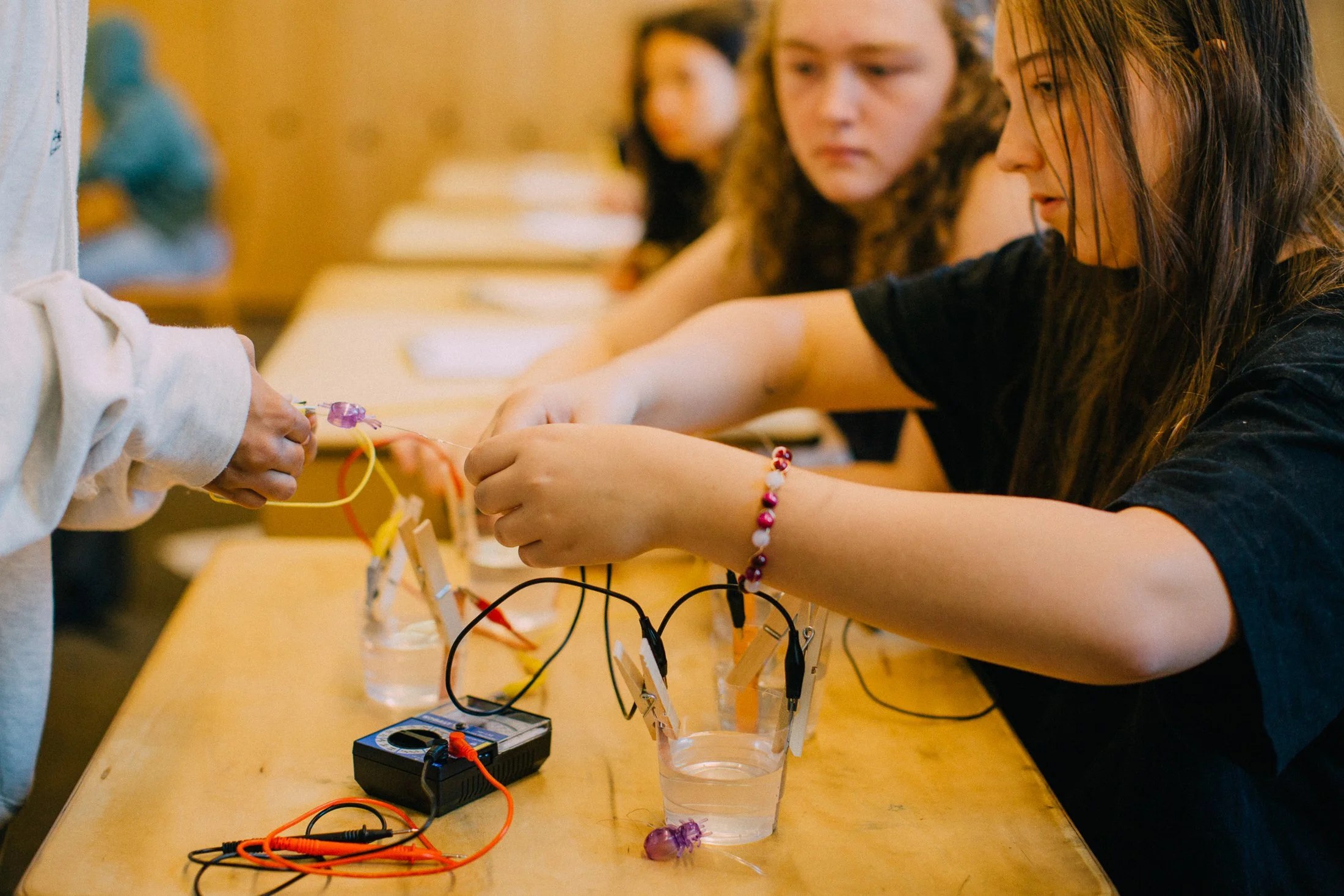 Cedarwood Waldorf Cedarwood Waldorf