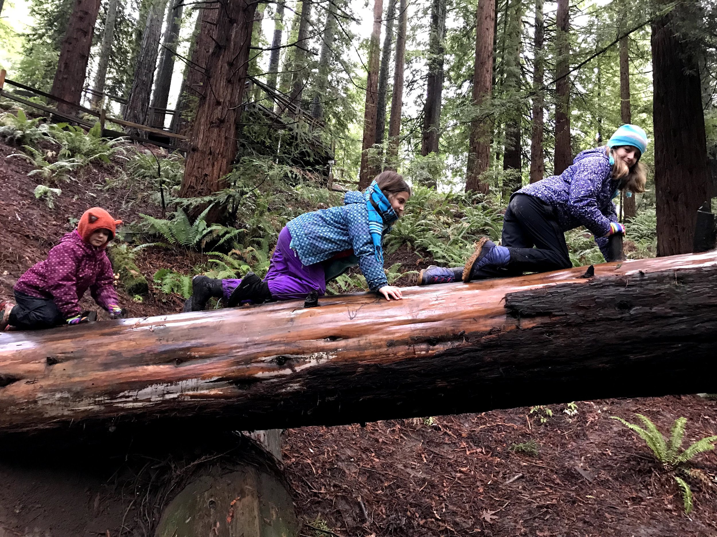 Outdoor Adventure Camp: June 20 -24 (Rising Grades 2-8) 2026