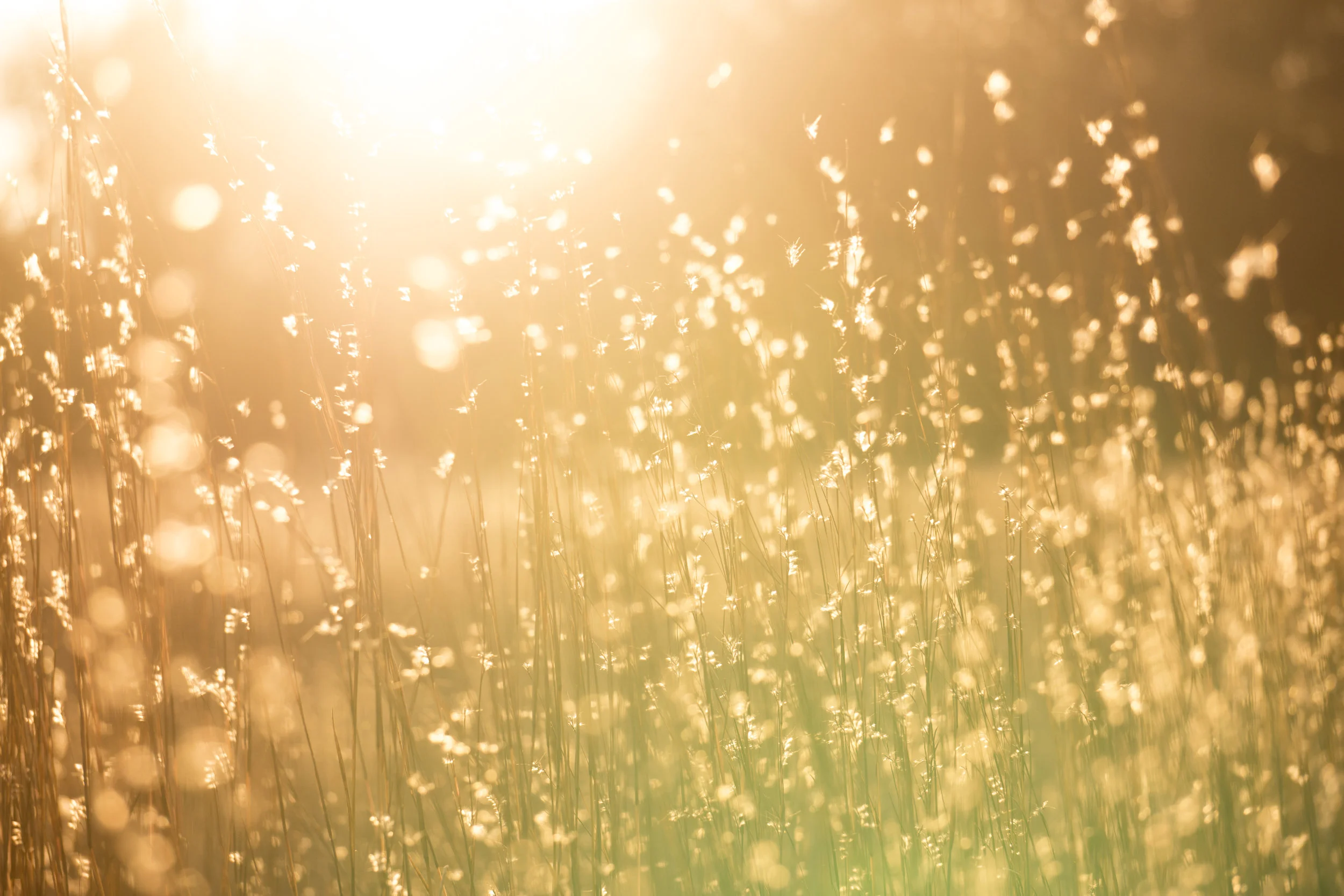 How Sunlight Benefits Health