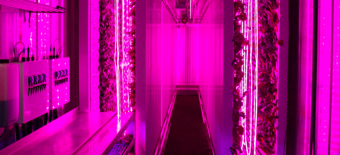 Smart City Farm 1
