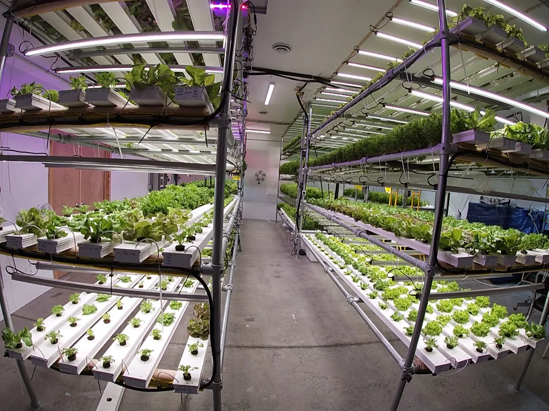 Smart City Farm 2