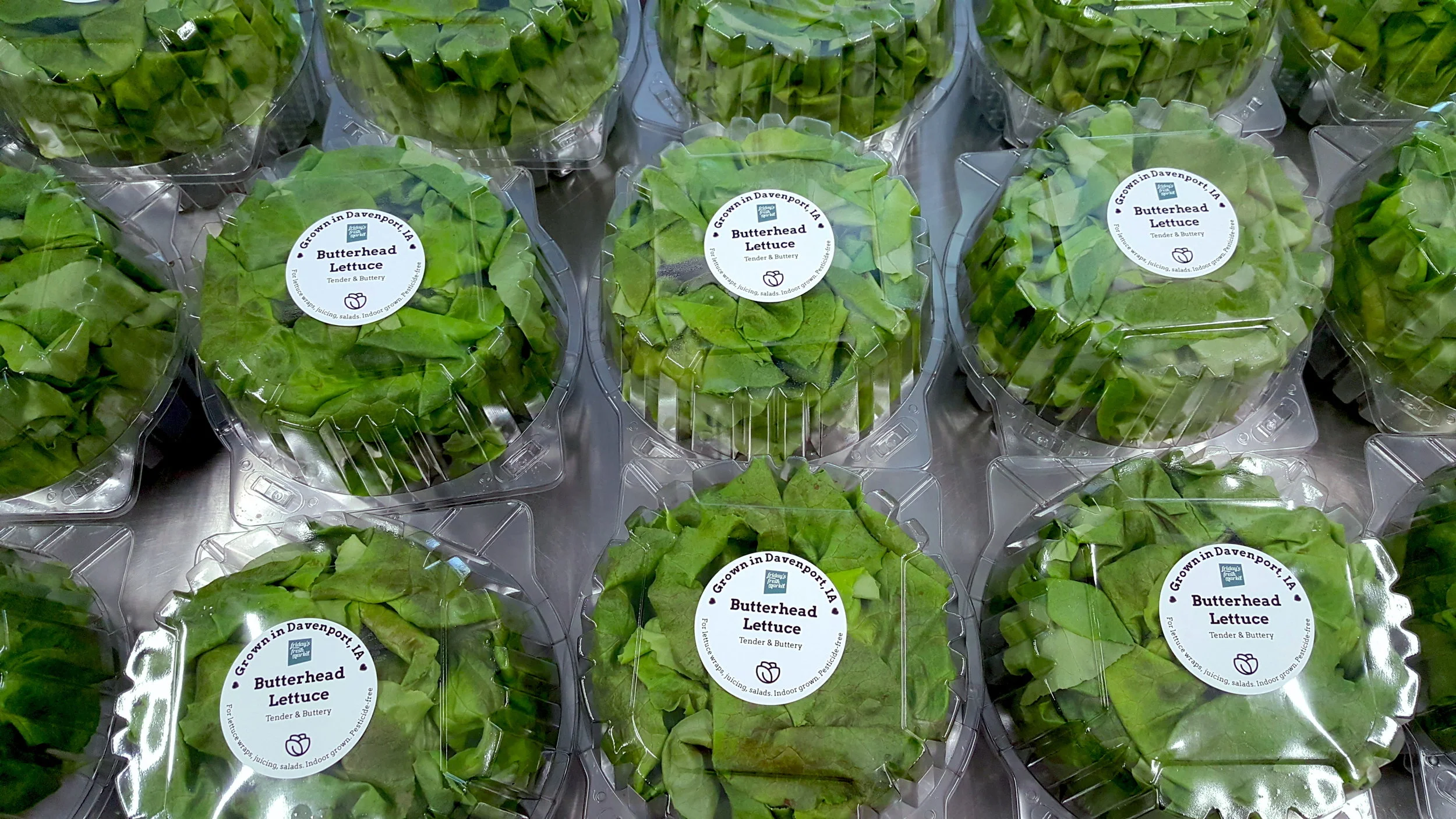 Living (Whole-head) lettuce for HyVees