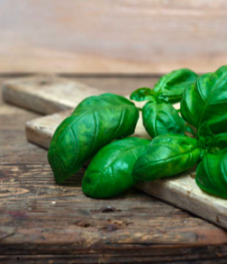 Basil Web 2019-06-24 at 11.02.33.png
