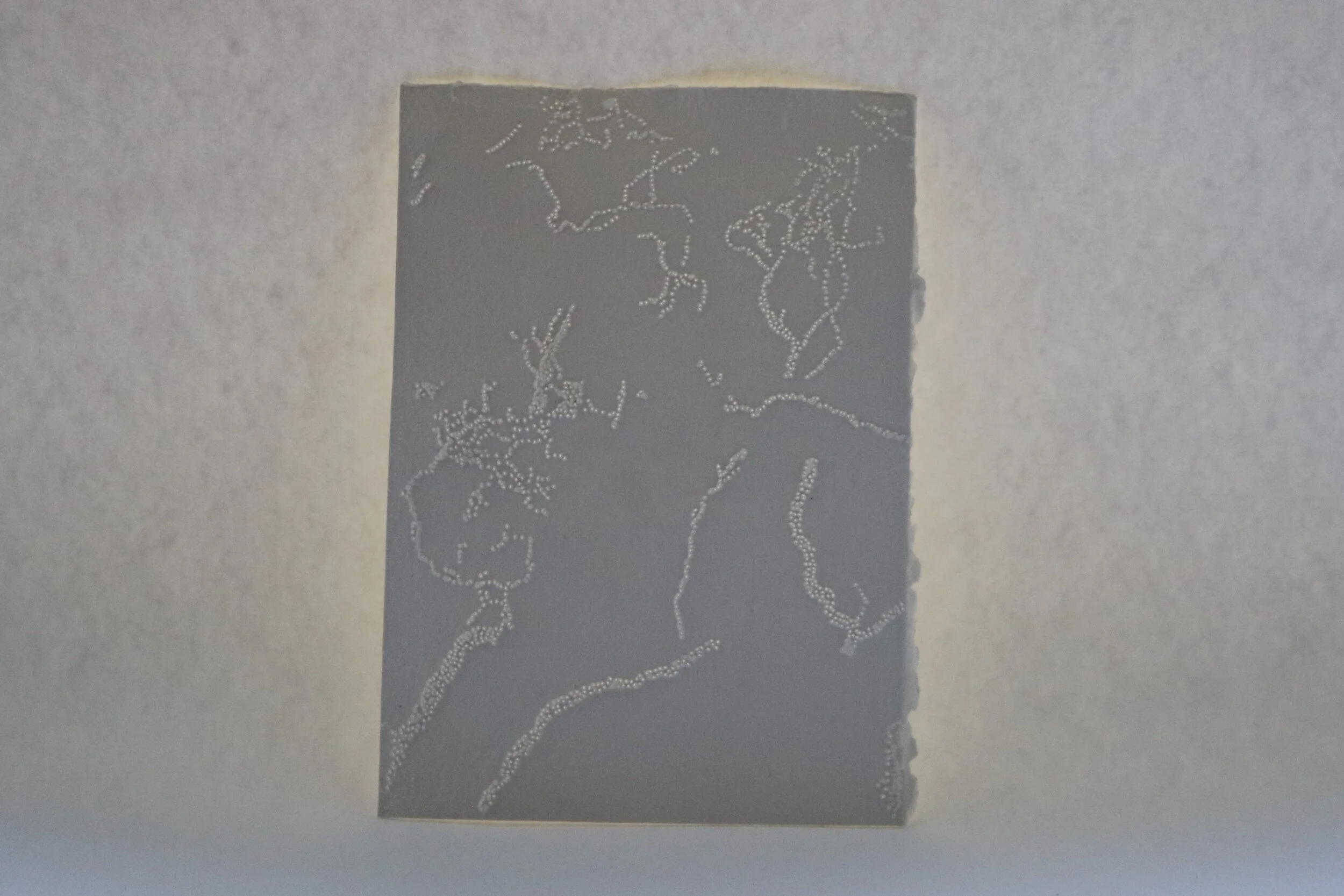 Lucy Kent - Image 2.JPG