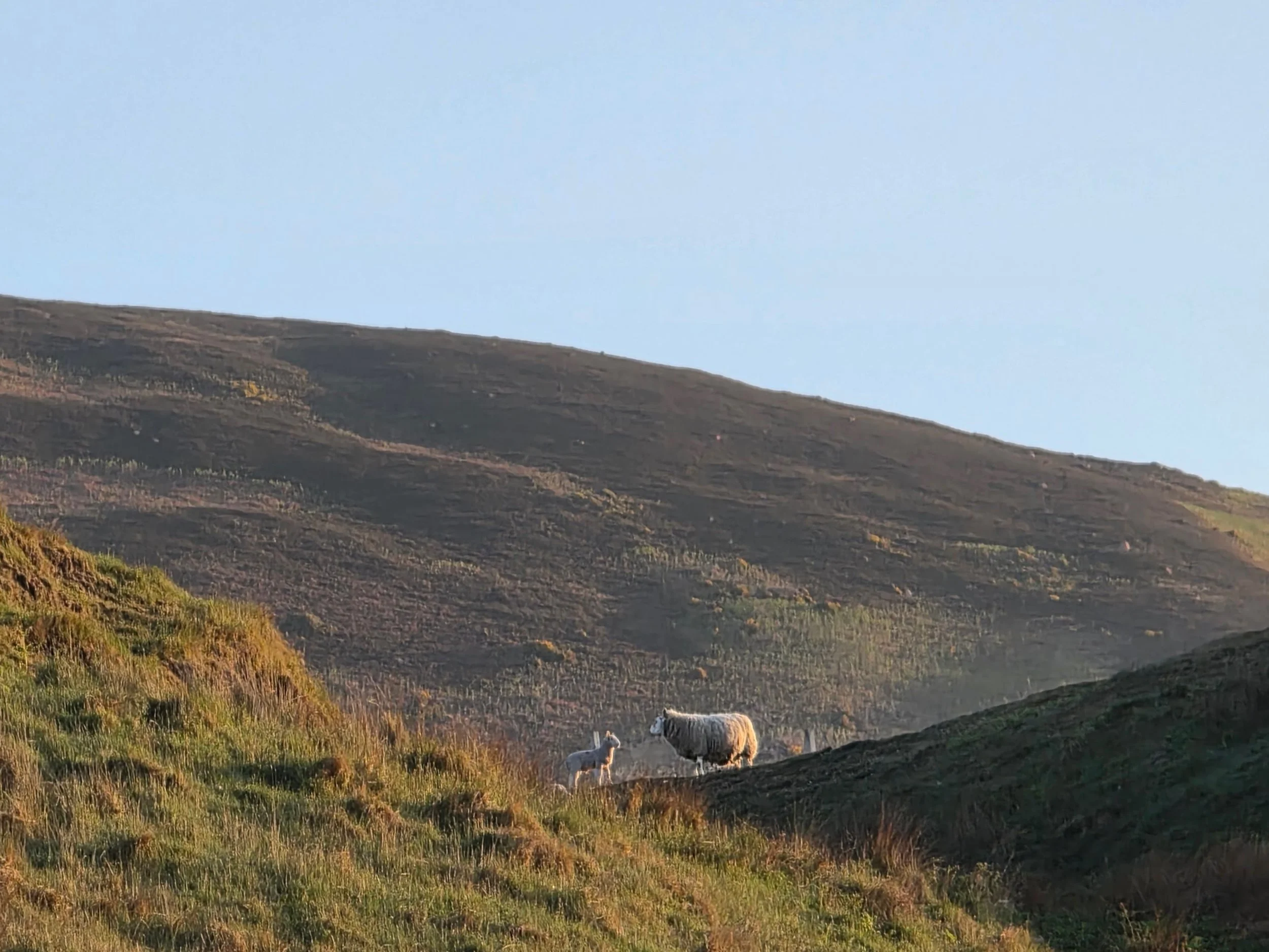 Scotland coastal outcrop morning