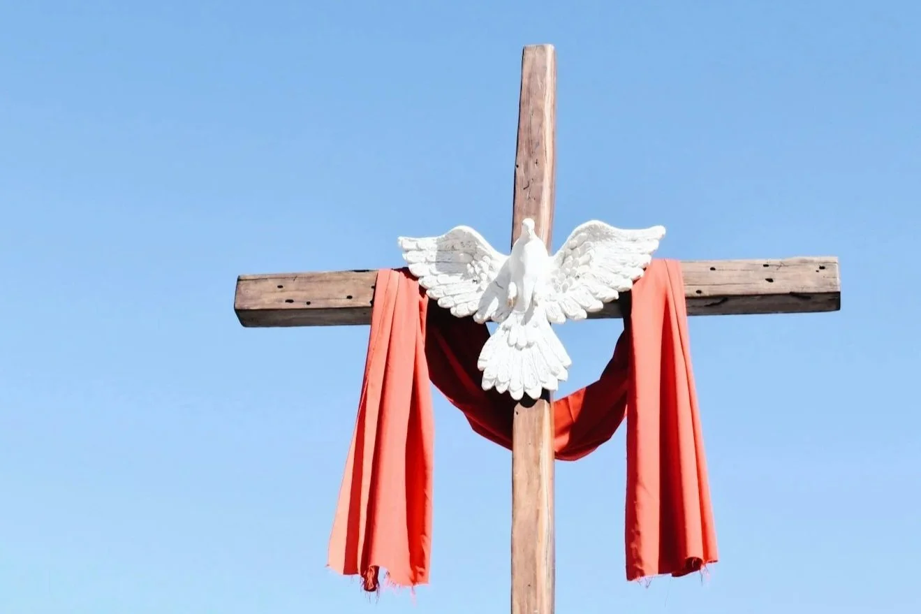 Cross and dove representing Confirmation journal gifts.