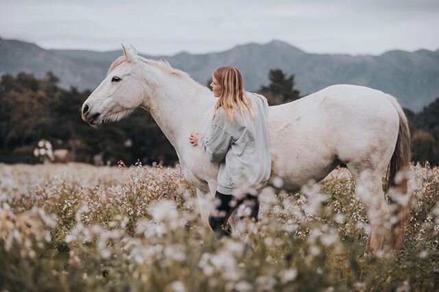 Thank you everyone who came on the live wild horse hike with me this morning! I had a lot of fun 😄
⠀⠀⠀⠀⠀⠀⠀⠀⠀
If you missed it, the hike is going to be in my story today 💛🌿 I love what so many of our communities are doing online right now - people 