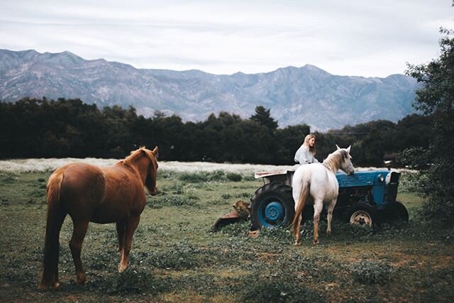 When I first moved to this land with the horses, I didn&rsquo;t know how to drive a tractor.🚜⠀⠀⠀⠀⠀⠀⠀⠀⠀
⠀⠀⠀⠀⠀⠀⠀⠀⠀
I knew caring for this land and the horses meant mowing all the fields at least once a year with the machine. I didn&rsquo;t know how I 