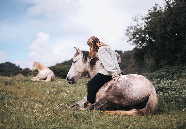 I think a lot of us horse and animal lovers have the idea in our mind that &ldquo;we like animals better than other people&rdquo;. Sometimes we say it in a joking manner, sometimes we say it with hurt and anger, sometimes we say it simply with sincer