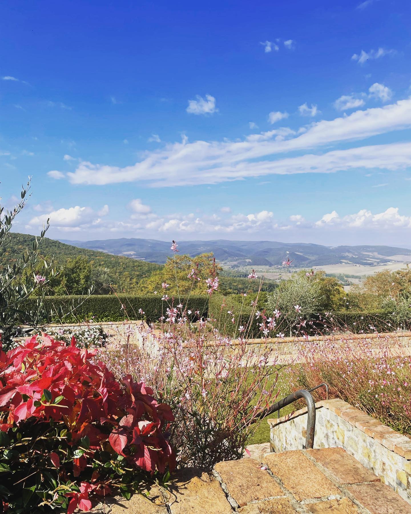 Dreamy views @castigliondelbosco 🍂