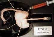 180_EASIE-R_Hemostasis_setup.jpg