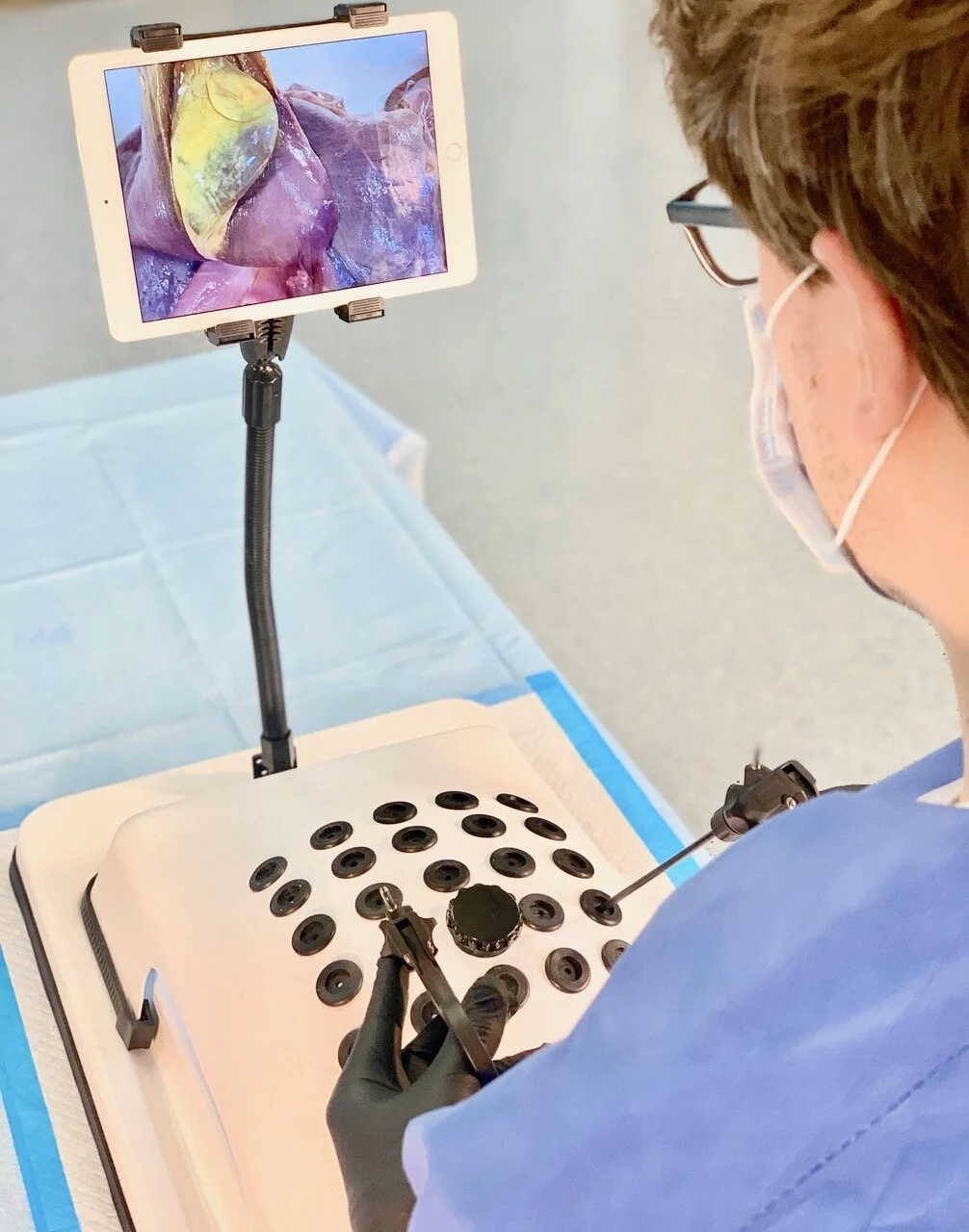 Gyne Sim Instrument Obstetrics Gynecology Specimen and Simulator Models — EndoSim Evidence ...