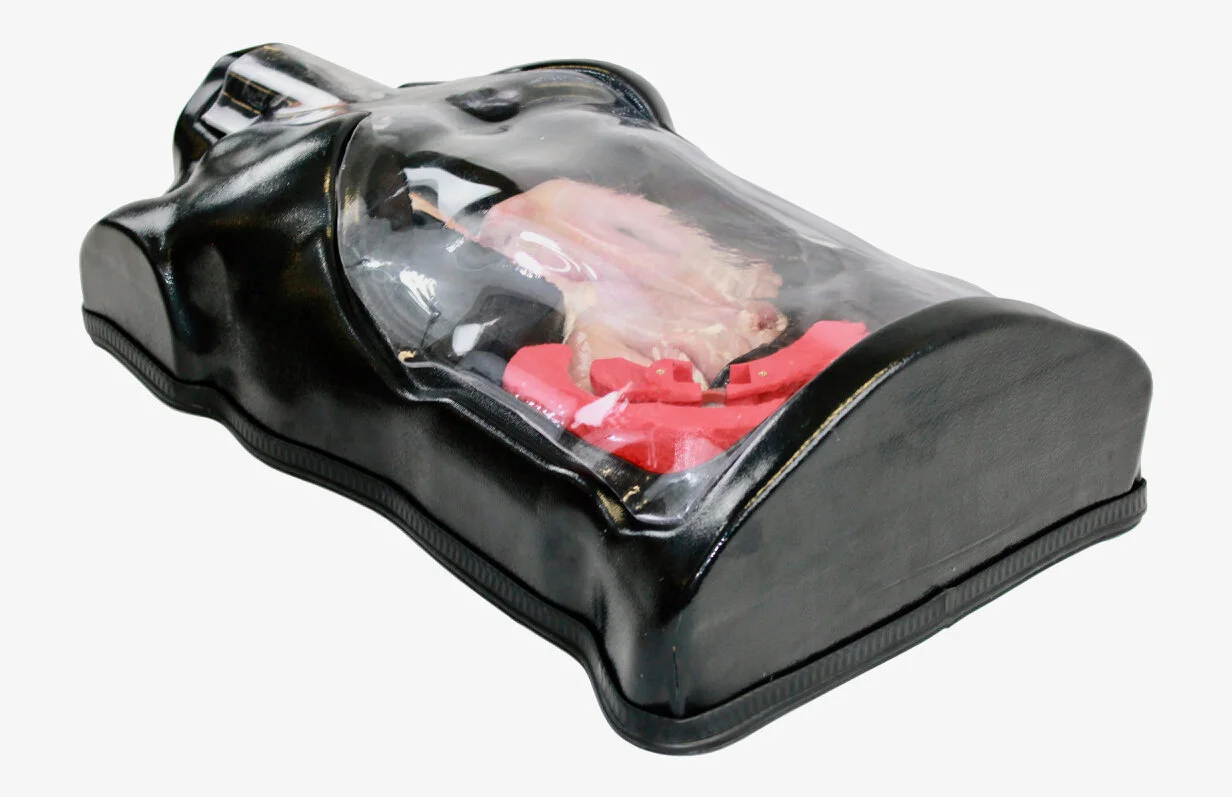 Gastrointestinal Endoscopy Specimen Models and Simulators — EndoSim ...