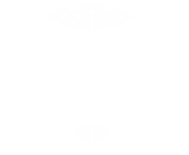iso logo.png