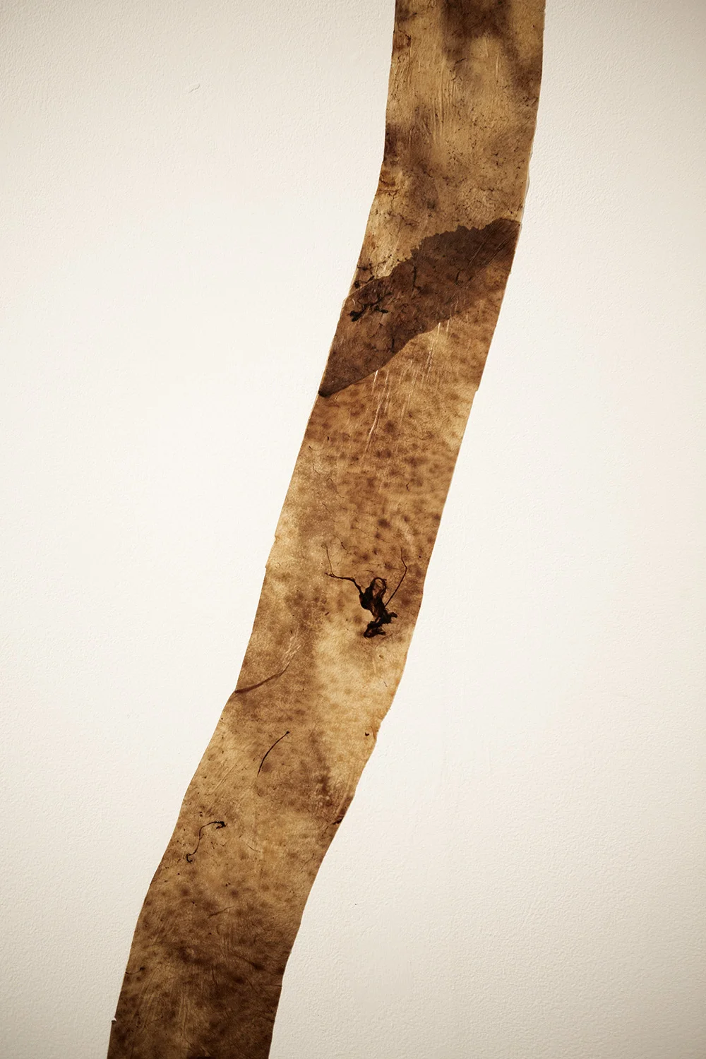 2U4A6480.jpg