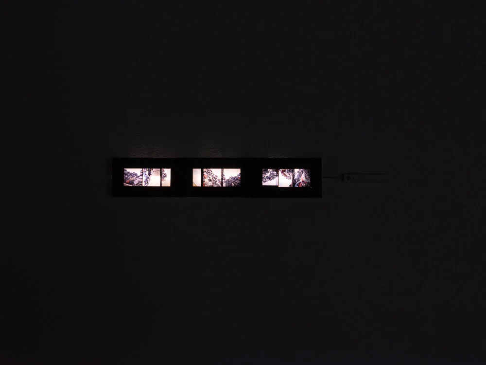 _DSF7842-Edit.jpg