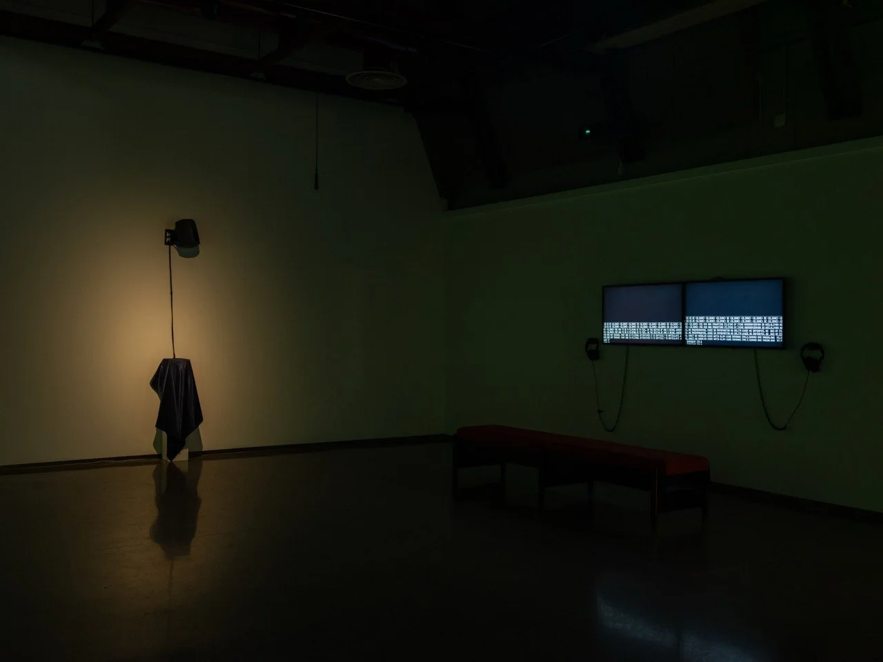 CJ_Virginia_SQUELCH-6 Large.jpeg