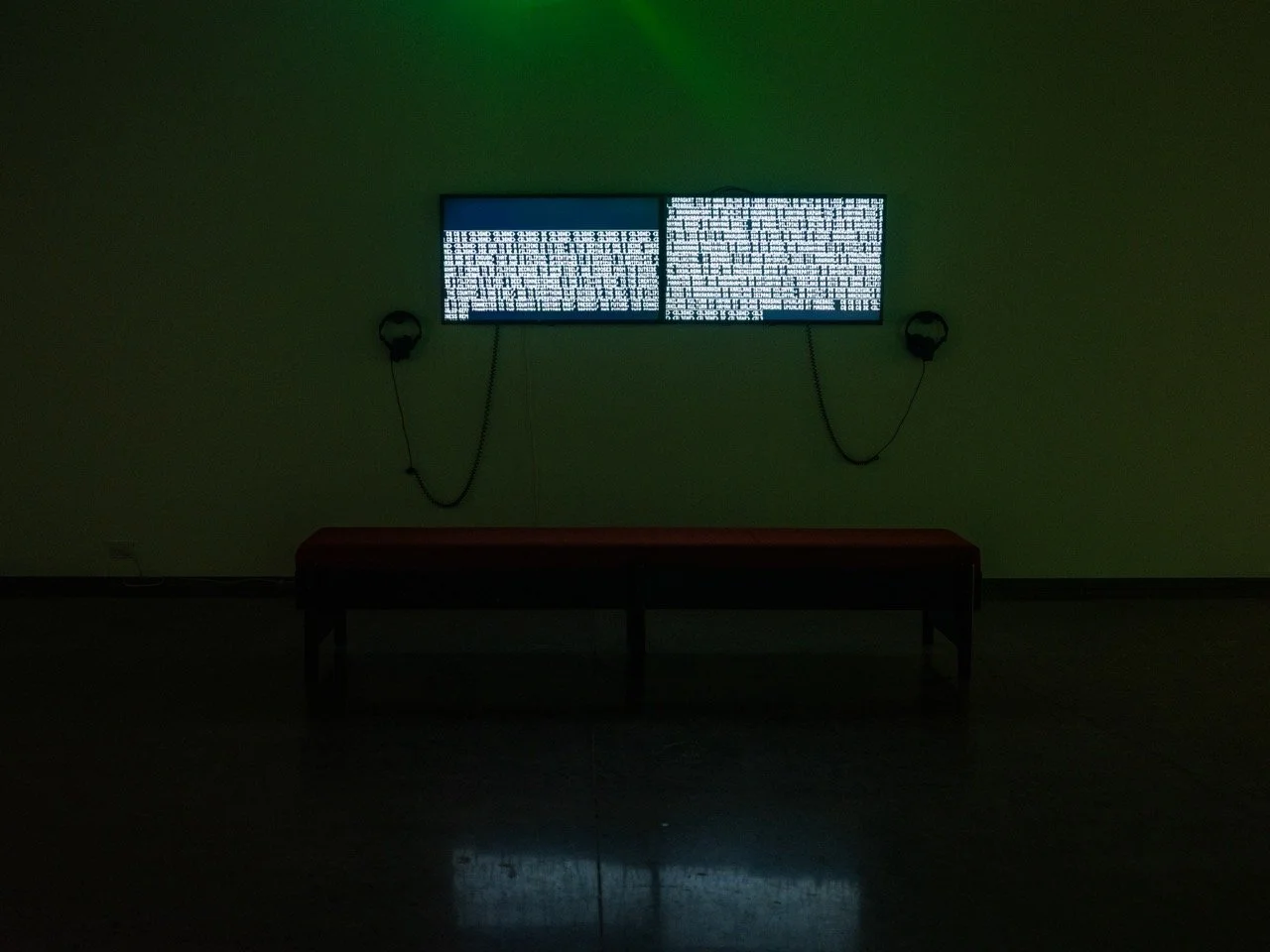 CJ_Virginia_SQUELCH-5 Large.jpeg